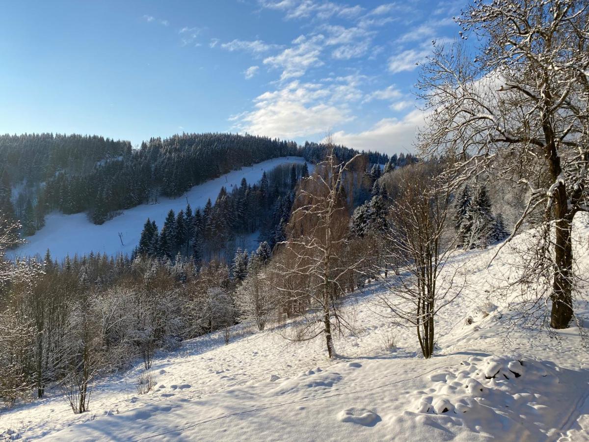 Apartmany Nad Slikovkou Jáchymov Exteriör bild