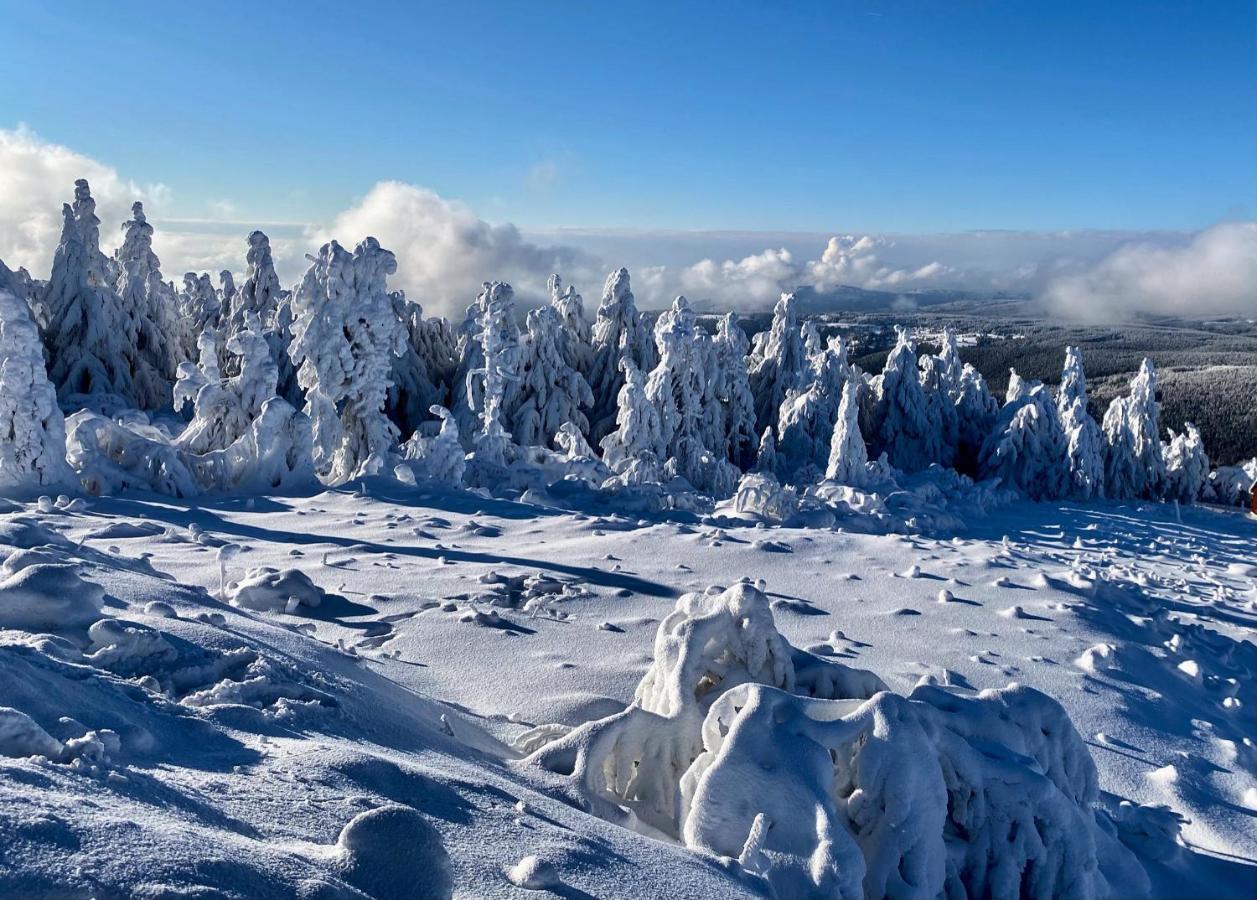 Apartmany Nad Slikovkou Jáchymov Exteriör bild