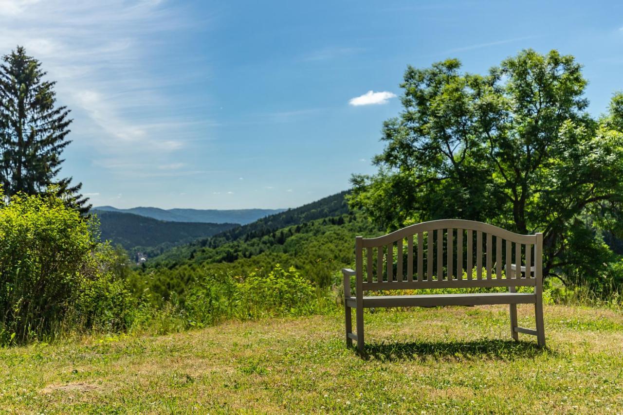 Apartmany Nad Slikovkou Jáchymov Exteriör bild